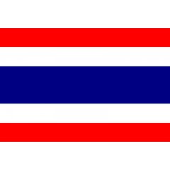 【广州领区】泰国旅游签-受护照签发地限制，见受理范围