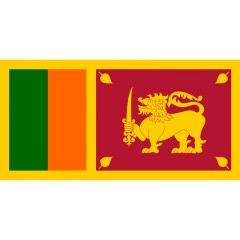 【全国受理】斯里兰卡旅游签-电子签（12周岁以下儿童）